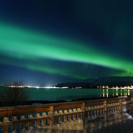 Vikran Vacation: Sea Fishing And Northern Lights Exteriör bild