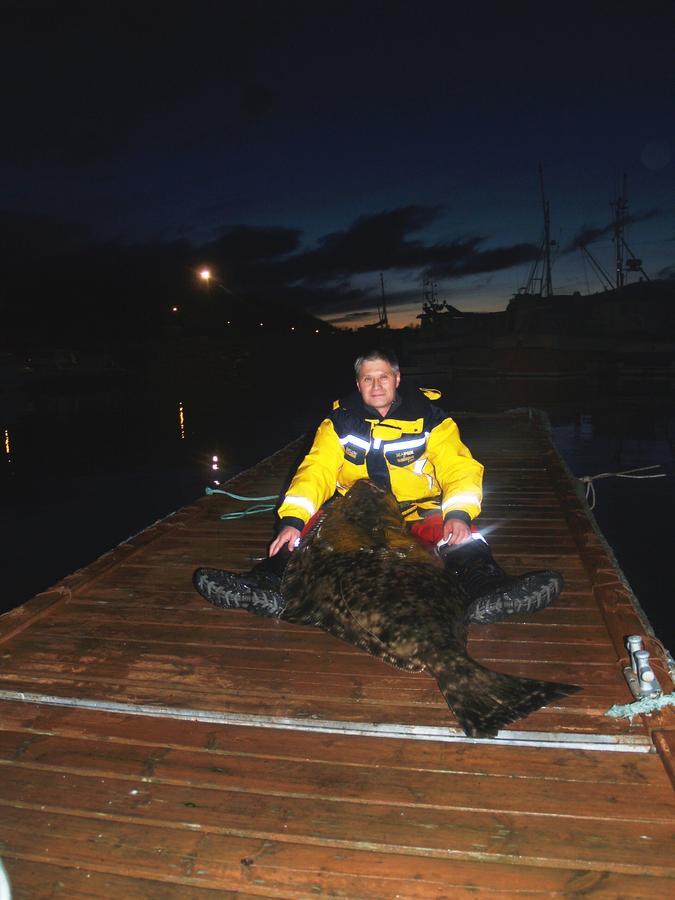 Vikran Vacation: Sea Fishing And Northern Lights Exteriör bild