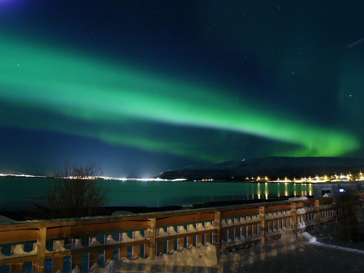 Vikran Vacation: Sea Fishing And Northern Lights Exteriör bild