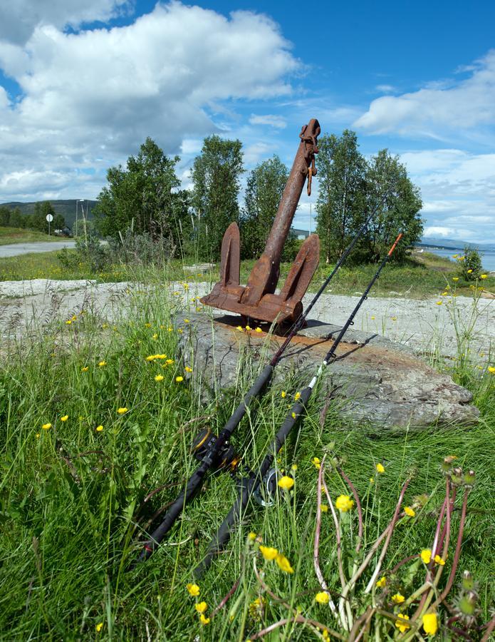 Vikran Vacation: Sea Fishing And Northern Lights Exteriör bild