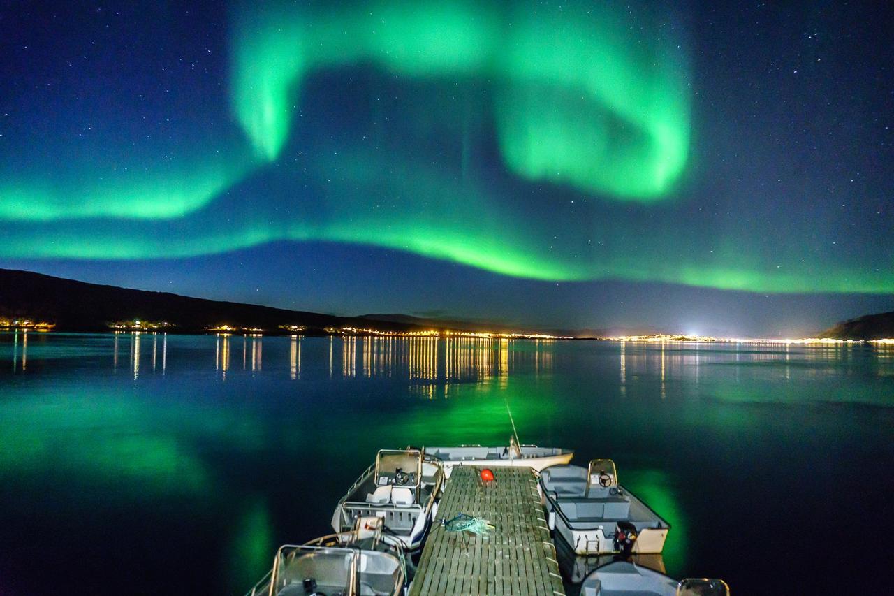 Vikran Vacation: Sea Fishing And Northern Lights Exteriör bild