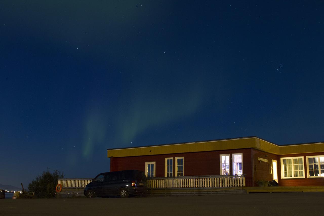 Vikran Vacation: Sea Fishing And Northern Lights Exteriör bild