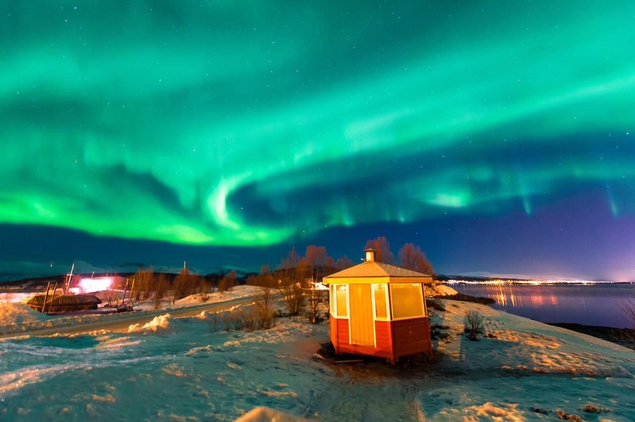 Vikran Vacation: Sea Fishing And Northern Lights Exteriör bild